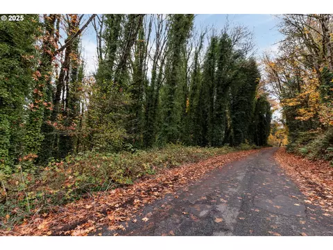 0 Lindberg Rd, Rainier, OR 97048 photo 7