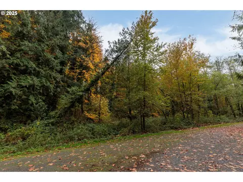 0 Lindberg Rd, Rainier, OR 97048 photo 6
