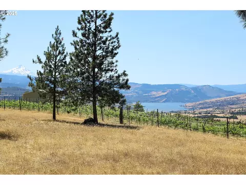 4 Murdock Rd, Lyle, WA 98635