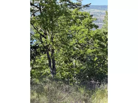 coyote ct LOT 43, Mosier, OR 97040