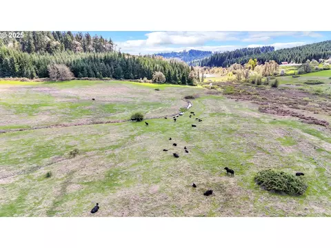 26900 Crow Rd, Eugene, OR 97402 photo 44