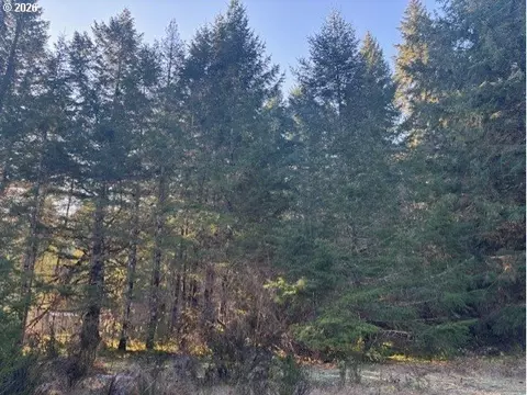 Brice Creek Rd, Cottage Grove, OR 97424