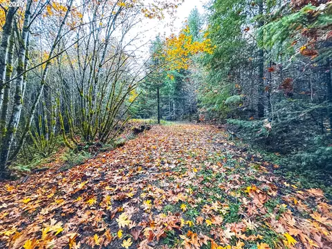 la duke rd, Westfir, OR 97492