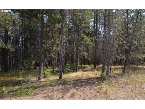 Other - 64955 Old Oregon, Pendleton, OR 97801 photo 31 of 32