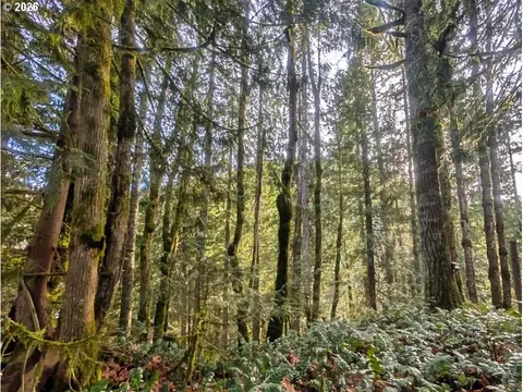 00971354 E Rolling Grn, Welches, OR 97067