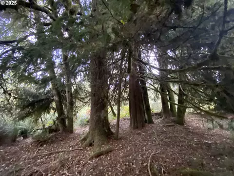 Dellmoor Loop, Warrenton, OR 97146