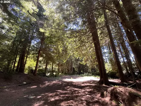 N Loftus Rd, Florence, OR 97439 photo 4