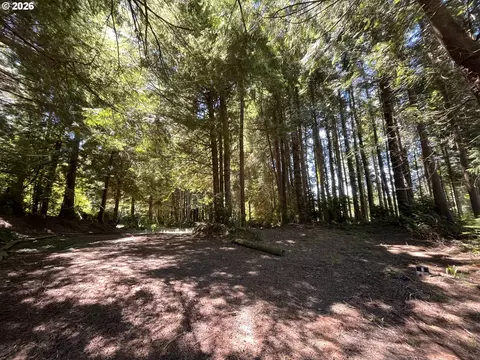 N Loftus Rd, Florence, OR 97439 photo 3