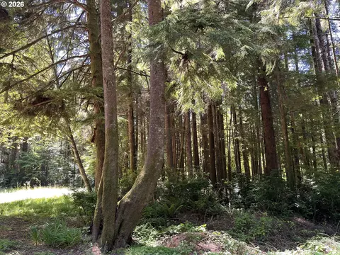 N Loftus Rd, Florence, OR 97439 photo 8