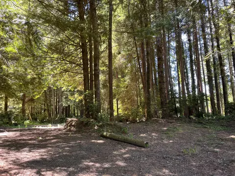 N Loftus Rd, Florence, OR 97439 photo 2