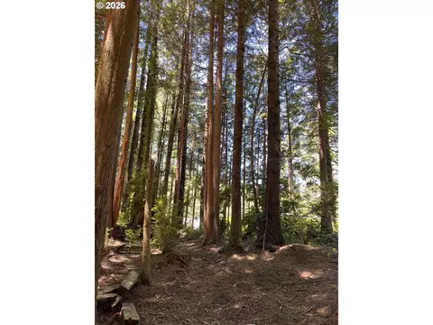 N Loftus Rd, Florence, OR 97439 photo 7