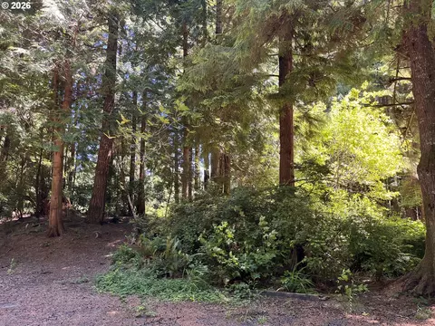 N Loftus Rd, Florence, OR 97439 photo 9