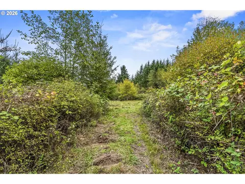 walker rd, Rainier, OR 97048 photo 4