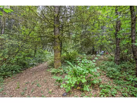 walker rd, Rainier, OR 97048 photo 13
