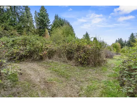 walker rd, Rainier, OR 97048 photo 14