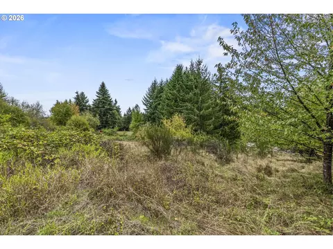 walker rd, Rainier, OR 97048 photo 9