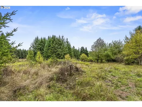 walker rd, Rainier, OR 97048 photo 5