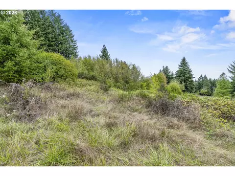 walker rd, Rainier, OR 97048 photo 15