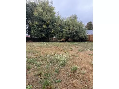 Elizabeth St, Eugene, OR 97405 photo 3