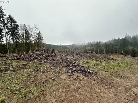0 Terry Rd, Rainier, OR 97048