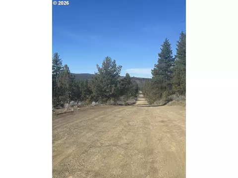 ruffed grouse #7, Sprague River, OR 97639 photo 3