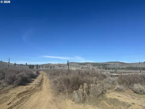 ruffed grouse #7, Sprague River, OR 97639 photo 5