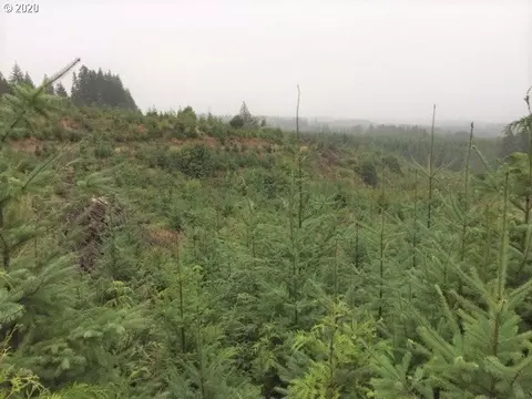 NW Ridge Rd, Forest Grove, OR 97116
