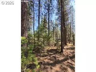 dewey, Sumpter, OR 97877 photo 6