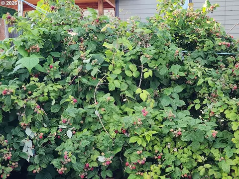 Other - 5321 SE Welch Rd, Gresham, OR 97080 photo 13 of 19