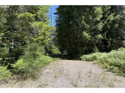 lahar ln, Cougar, WA 98616
