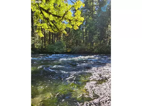 55690 Mckenzie River Dr, Blue River, OR 97413