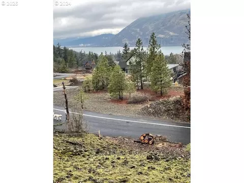 asher st, Mosier, OR 97040 photo 15