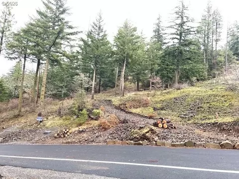 asher st, Mosier, OR 97040 photo 13