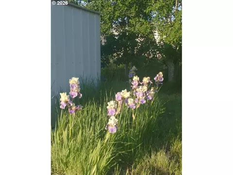 Glen Dr, Chiloquin, OR 97624 photo 9