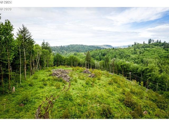 0 Mt Pleasant Dr, Washougal, WA 98671