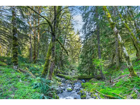 Other - 18685 E Aschoff Rd, Rhododendron, OR 97049 photo 8 of 12