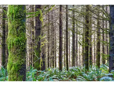 0 S Hwy 42, Coquille, OR 97423
