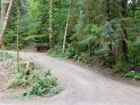 10286 Ridge View Ter, Birkenfeld, OR 97016