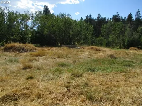 410 Mill Cr Ln, Cove, OR 97824