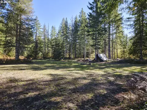 2 Lahar Ln #A, Cougar, WA 98616