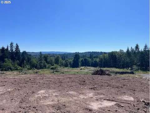 Nick Thomas Rd, Rainier, OR 97048