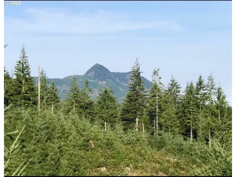 80788 Hamlet Rd, Seaside, OR 97138