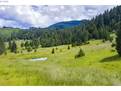 bugle loop, Oakridge, OR 97463