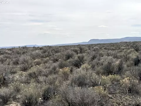 fossil lake road, Christmas Valley, OR 97641