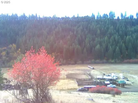 86137 Chesnimnus Ln, Enterprise, OR 97828
