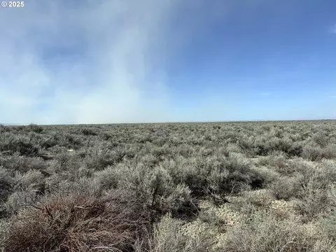 n fandango rd, Christmas Valley, OR 97641