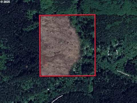 Buster Creek Mainlin, Jewell, OR 97138