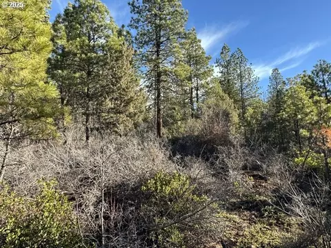 hummingbird dr, Bonanza, OR 97623