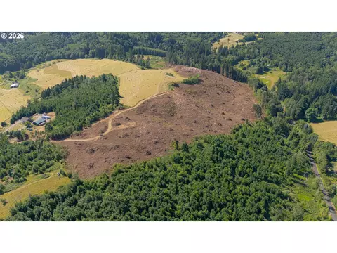 Gregory Rd, Rainier, OR 97048 photo 2