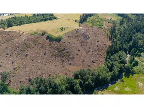 Gregory Rd, Rainier, OR 97048 photo 6